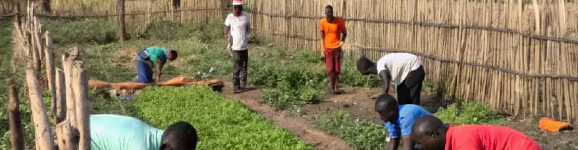 WhatsApp Image 2025-12-13 at 6.45.19 AMllk