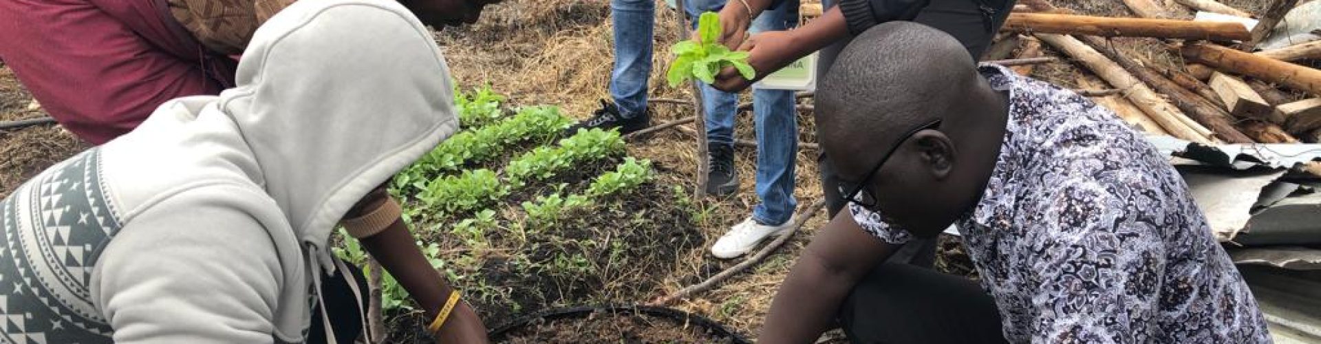 WhatsApp Image 2025-12-13 at 6.51.05 AM22